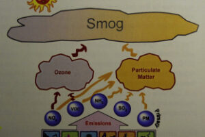 Smog- Harmful Effects On Health And Environment